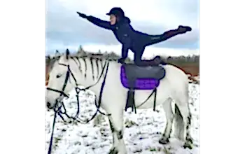 Верховая езда в студии "Четыре подковы"